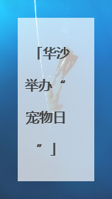 华沙举办“宠物日”